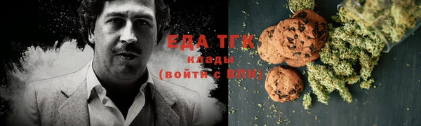 индика Покров