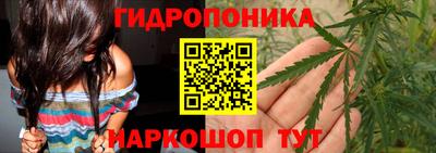 PSILOCYBIN Изобильный