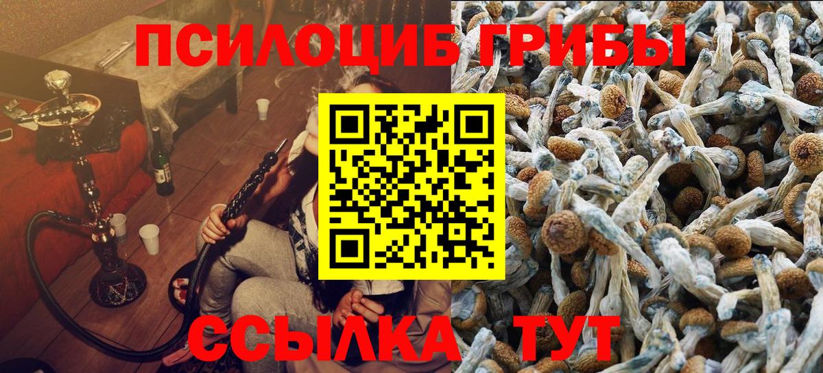 Галлюциногенные грибы Psilocybine cubensis Иркутск